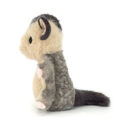 L'écureuil volant Lolly Sugar Glider