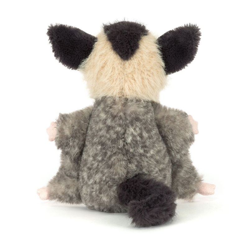 L'écureuil volant Lolly Sugar Glider