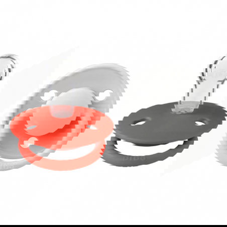 2 Tétines Bibs De Lux Taille 1 - Bibs