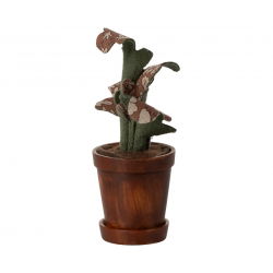 Plante verte pour souris