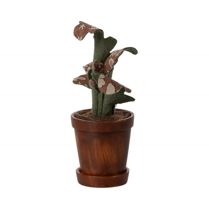 Plante verte pour souris