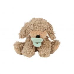Chien Binky  | Benny