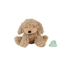 Chien Binky  | Benny