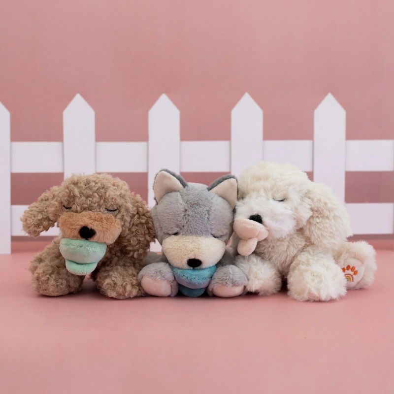 Chien Binky  | Benny