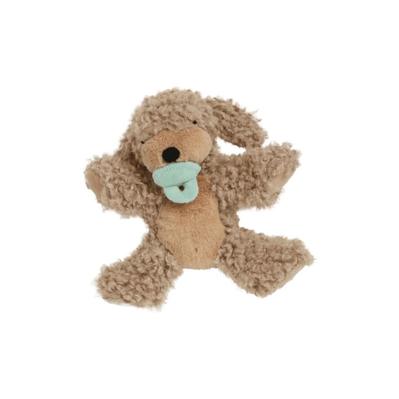 Chien Binky  | Benny