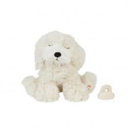 Chien Binky  | Belle