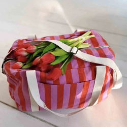 Sac Raphael | Rayures Orchidée/Rouge