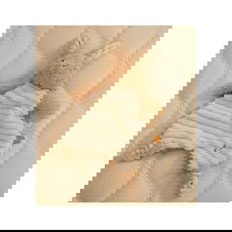 Doudou Lapin | Nouveau né - Little Dutch