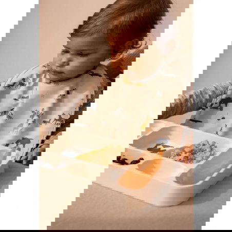 Assiette à compartiments Mosu| All together