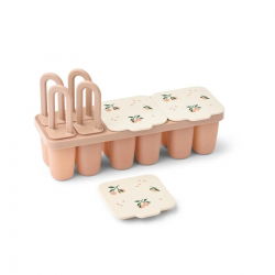 Plateau pour aliments et...