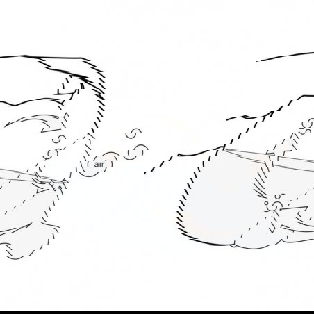 Biberon 330 ml | Liberty - Elhée