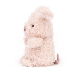 Little Pig
