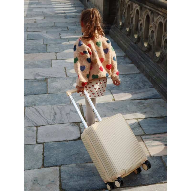 Valise de voyage | Tea Stripe