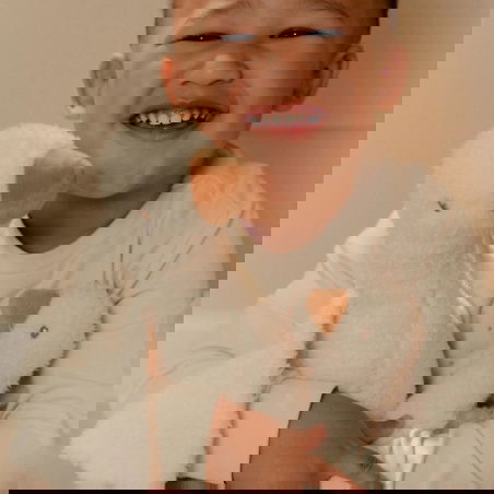 Peluche Oie - Little Dutch