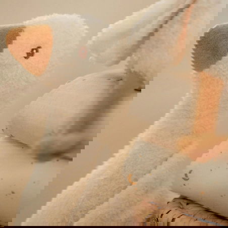 Peluche Oie - Little Dutch