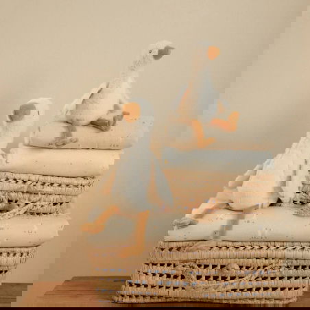 Peluche Oie - Little Dutch