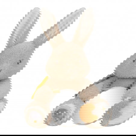 Peluche d'activités | Lapin - Little Dutch