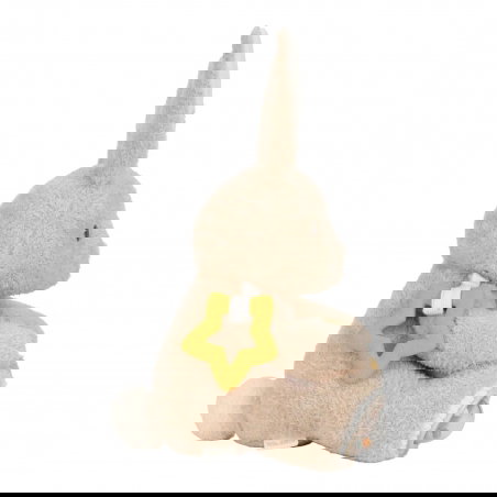 Peluche d'activités | Lapin - Little Dutch