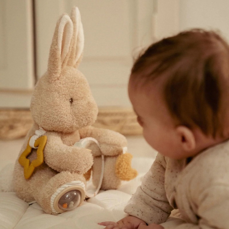 Peluche d'activités | Lapin
