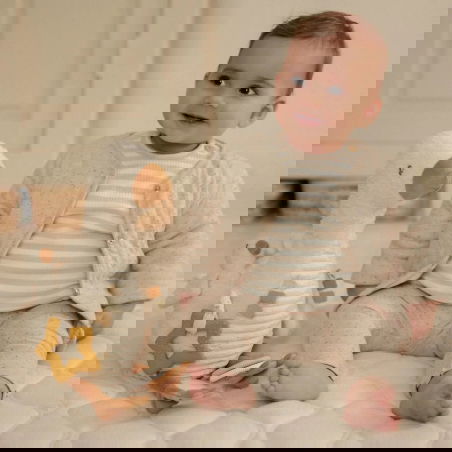 Peluche d'activités | Oie - Little Dutch