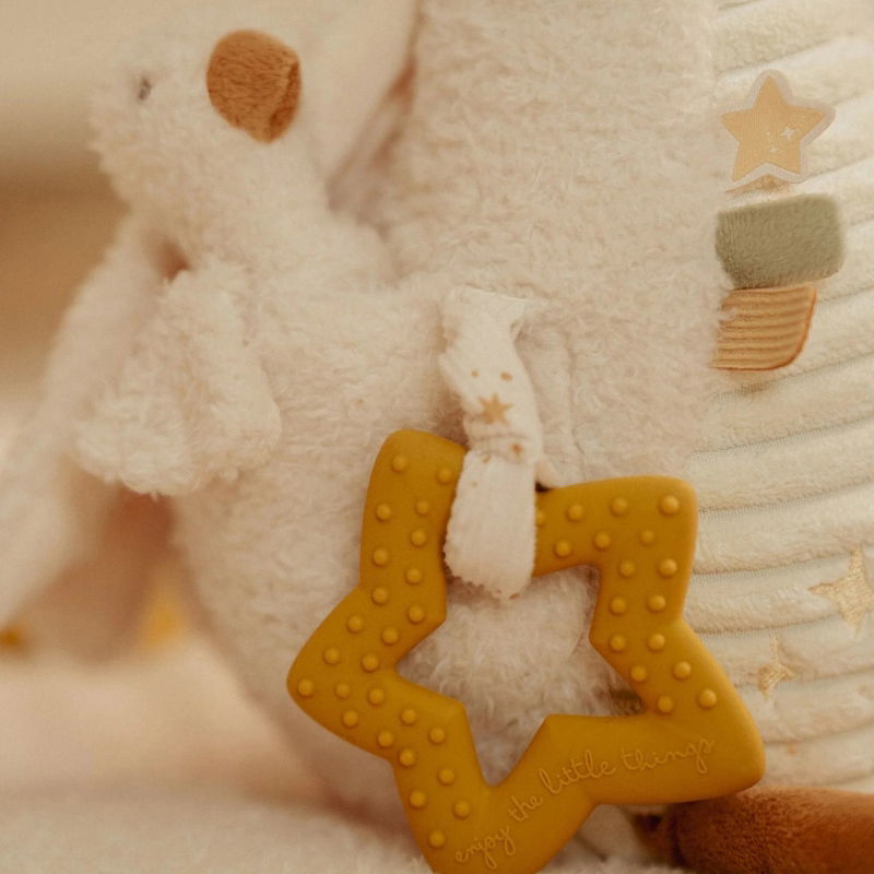 Peluche d'activités | Oie