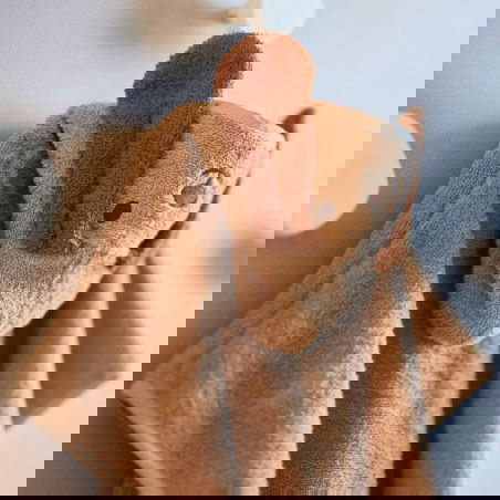 Poncho de bain Diego le chien - Jollein