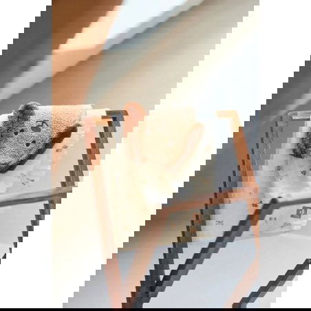 Gant de toilette éponge | Diego le chien - Jollein