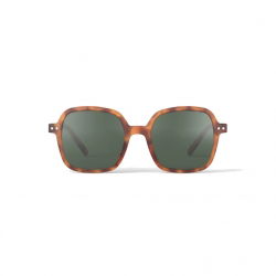 Lunettes de soleil Adulte (Office) | Havane
