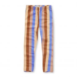Legging d'hiver | Rayures multicolores