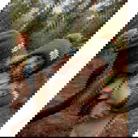 Bonnet Block Papa | Forest - Hello Hossy