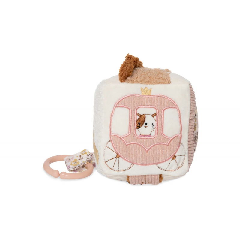 Cube d'activités | Flower Fairies