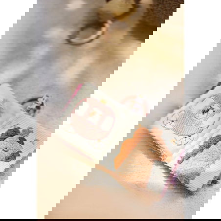 Livre d’activité | Flower Fairies - Jollein