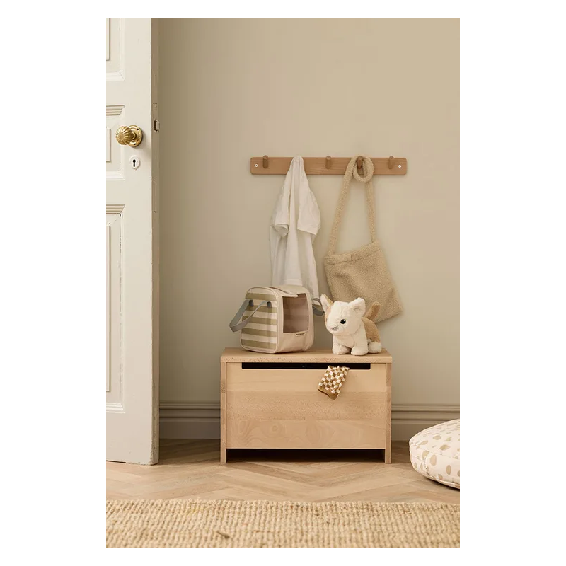 Chat et sac de transport