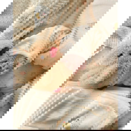 Combinaison Elu | Antique white - Konges Slojd