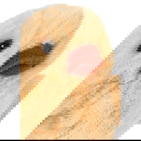 Doudou lange lapin Piccobino (copie)