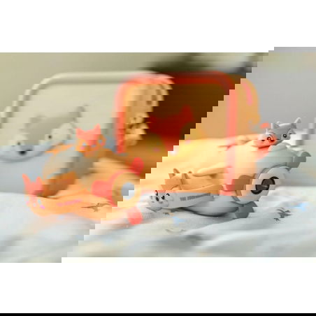 Caméra Zoo Video | Renard - The Zoofamily