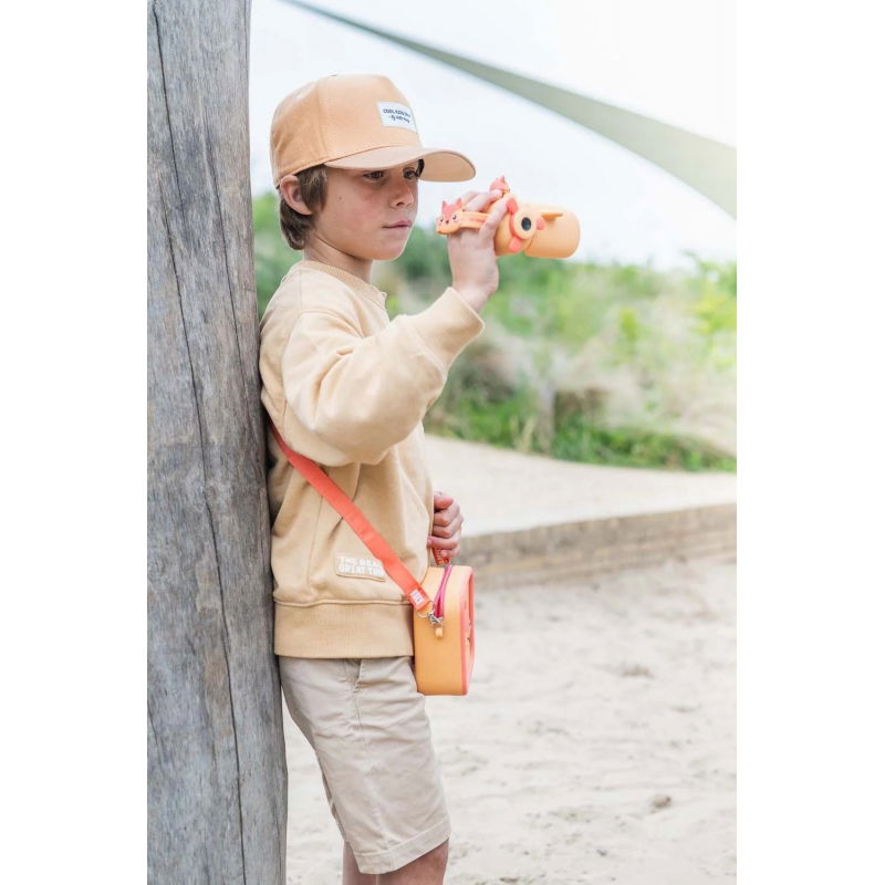 Caméra Zoo Video | Renard