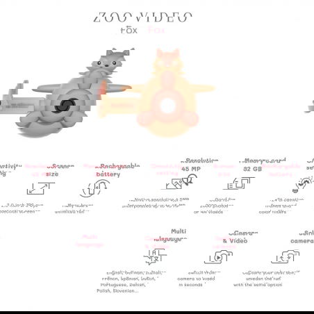 Caméra Zoo Video | Renard - The Zoofamily