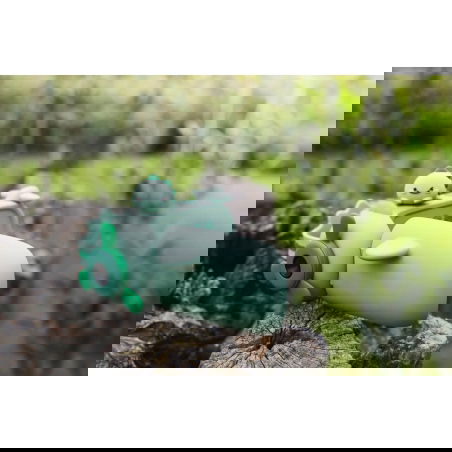 Caméra Zoo Video | Dino vert - The Zoofamily