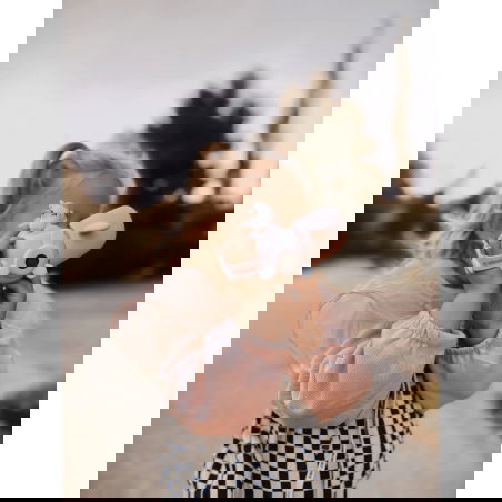 Caméra Zoo Video | Licorne - The Zoofamily