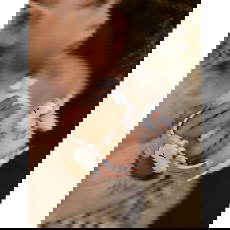 Caméra Zoo Video | Licorne - The Zoofamily