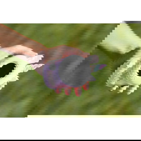 Zoo Walkie Talkie | Licorne - The Zoofamily