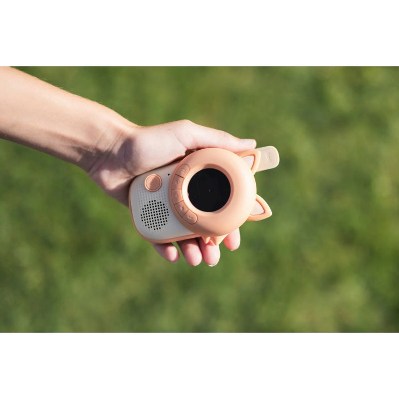 Zoo Walkie Talkie | Renard