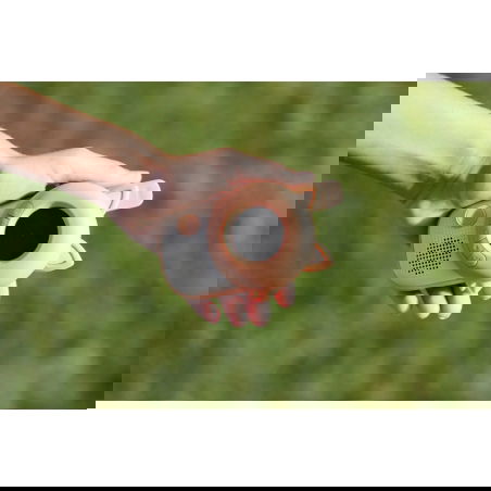 Zoo Walkie Talkie | Renard - The Zoofamily