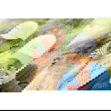 Zoo Walkie Talkie | Dino vert - The Zoofamily