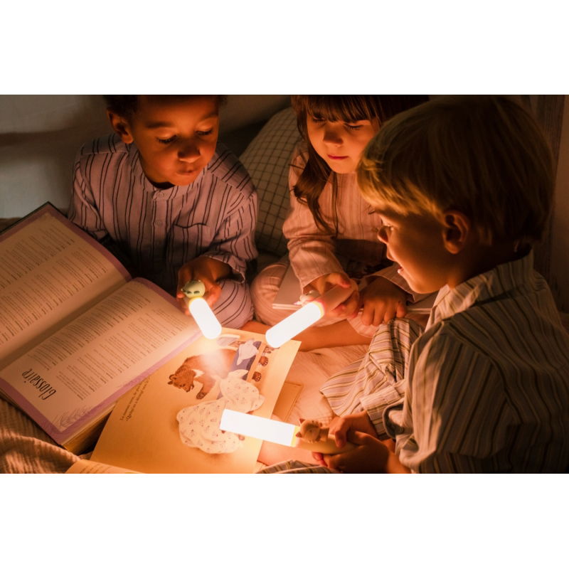 Veilleuse Zoo Buddy | Renard