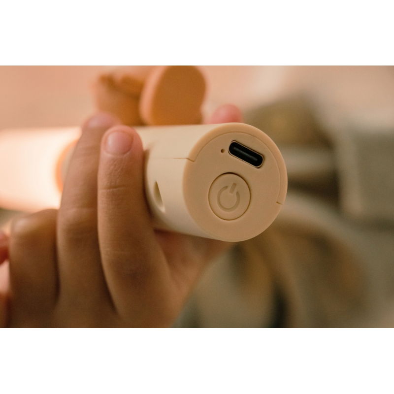 Veilleuse Zoo Buddy | Renard