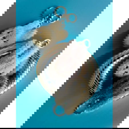 Porte clé Miffy | Taupe - Sélection déco