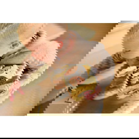 Cube d'activités | Tiny Park - Jollein