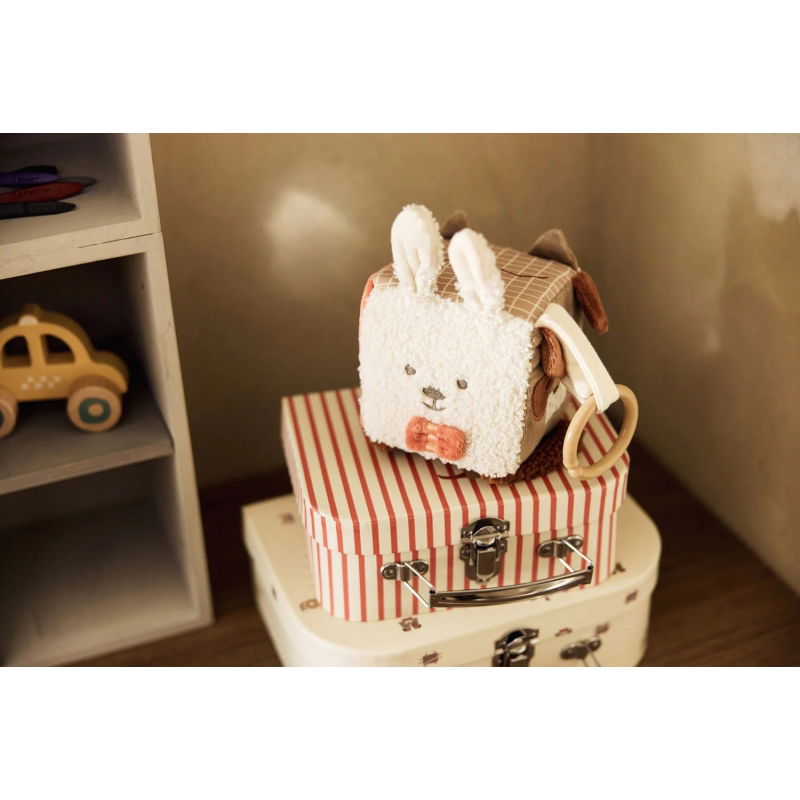 Cube d'activités | Animal friends